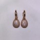 Rose Gold Earrings