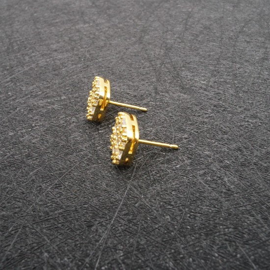 Zircon Trend Earrings